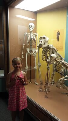 20130813_114659.jpg