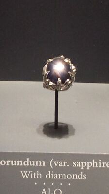 20130813_130908.jpg