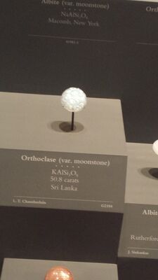 20130813_130950.jpg
