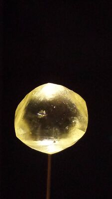 20130813_131531.jpg