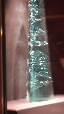 20130813_132000.jpg