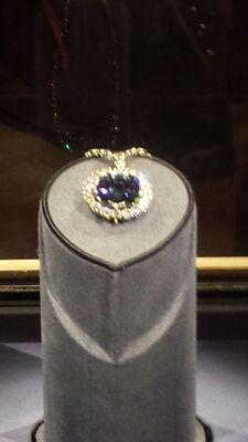 20130813_132237.jpg