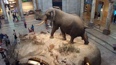 20130813_132600.jpg