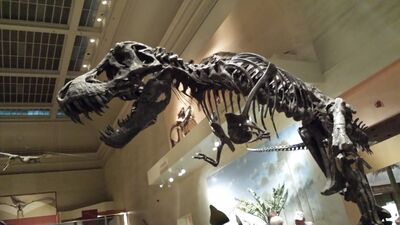 20130813_133429.jpg