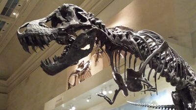 20130813_133444.jpg