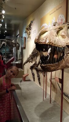 20130813_134202.jpg