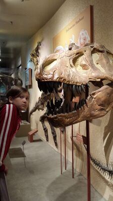 20130813_134224.jpg