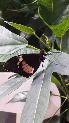 20130813_140428.jpg