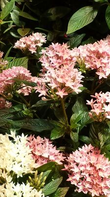 20130813_140443.jpg