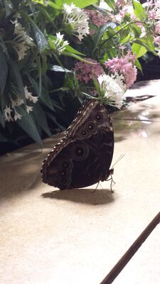 20130813_140539.jpg