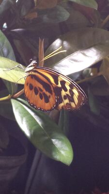 20130813_140618.jpg