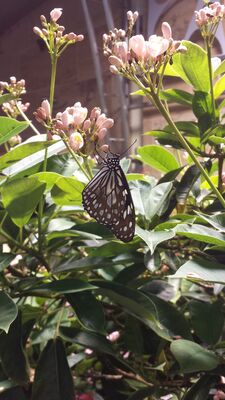 20130813_140723.jpg