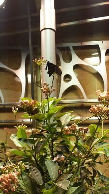 20130813_140733.jpg