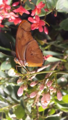 20130813_140743.jpg