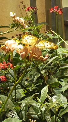 20130813_140752.jpg