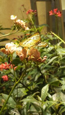 20130813_140759.jpg