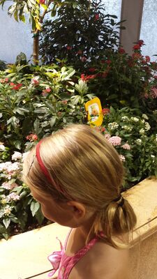 20130813_140827.jpg