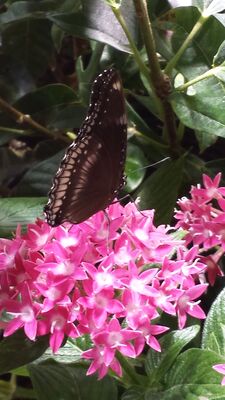 20130813_140848.jpg