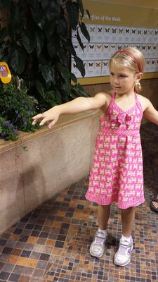 20130813_140856.jpg