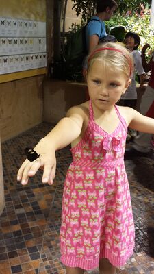 20130813_140916.jpg