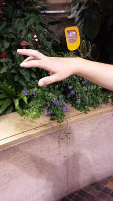 20130813_140932.jpg