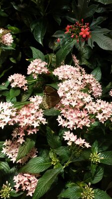 20130813_141014.jpg