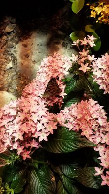 20130813_141020.jpg
