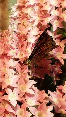 20130813_141028.jpg