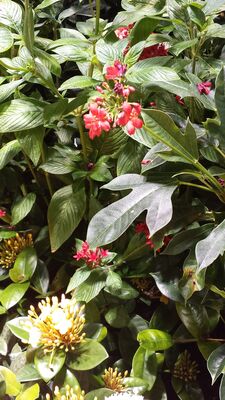 20130813_141053.jpg