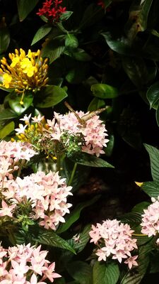 20130813_141101.jpg