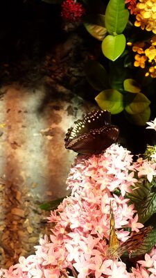 20130813_141112.jpg