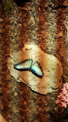 20130813_141146.jpg