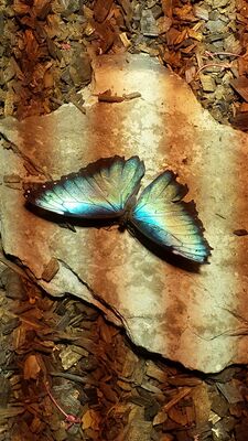 20130813_141151.jpg