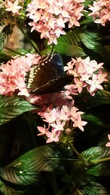 20130813_141201.jpg