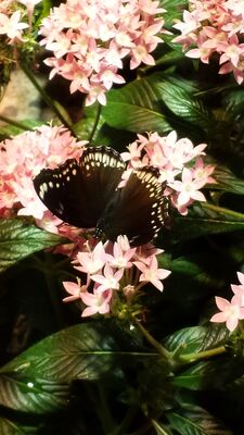 20130813_141204.jpg