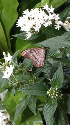 20130813_141224.jpg