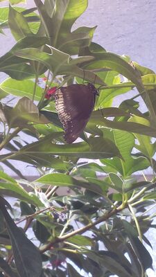20130813_141251.jpg