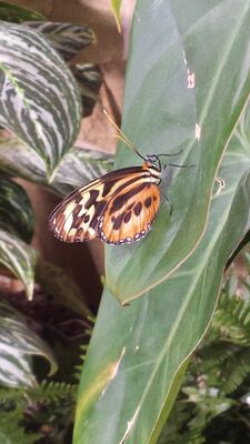 20130813_141338.jpg