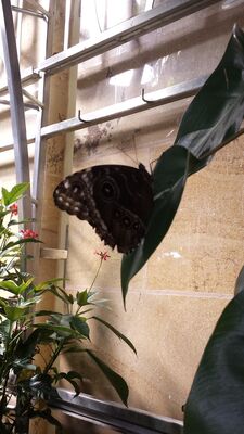 20130813_141346.jpg