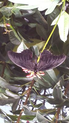 20130813_141509.jpg
