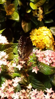 20130813_141516.jpg