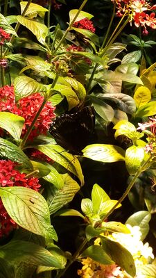20130813_141525.jpg