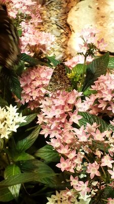 20130813_141536.jpg