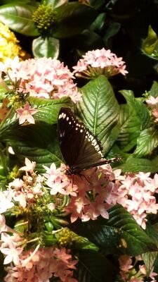 20130813_141540.jpg