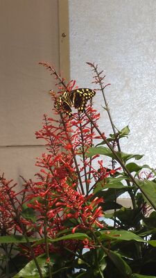 20130813_141555.jpg