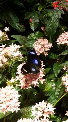 20130813_141653.jpg