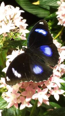 20130813_141702.jpg