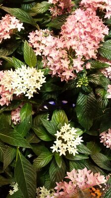 20130813_141715.jpg