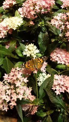 20130813_141721.jpg