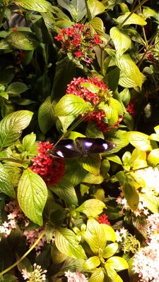 20130813_141738.jpg